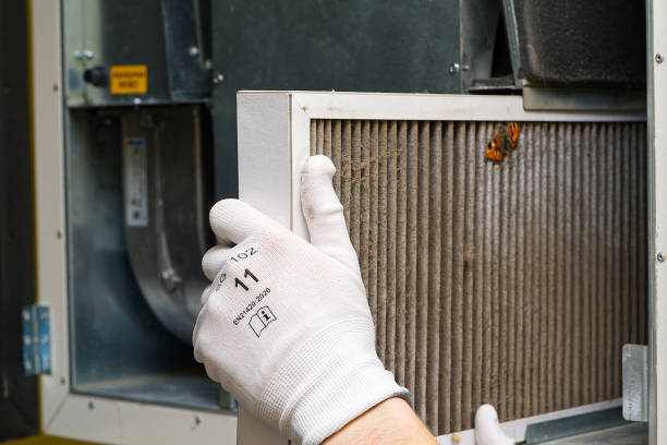 Best Affordable HVAC Duct Cleaning  in Chester, WV